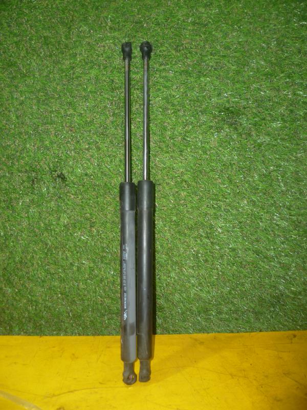 Verin de coffre RENAULT CLIO 3 PHASE 1 Diesel - 1