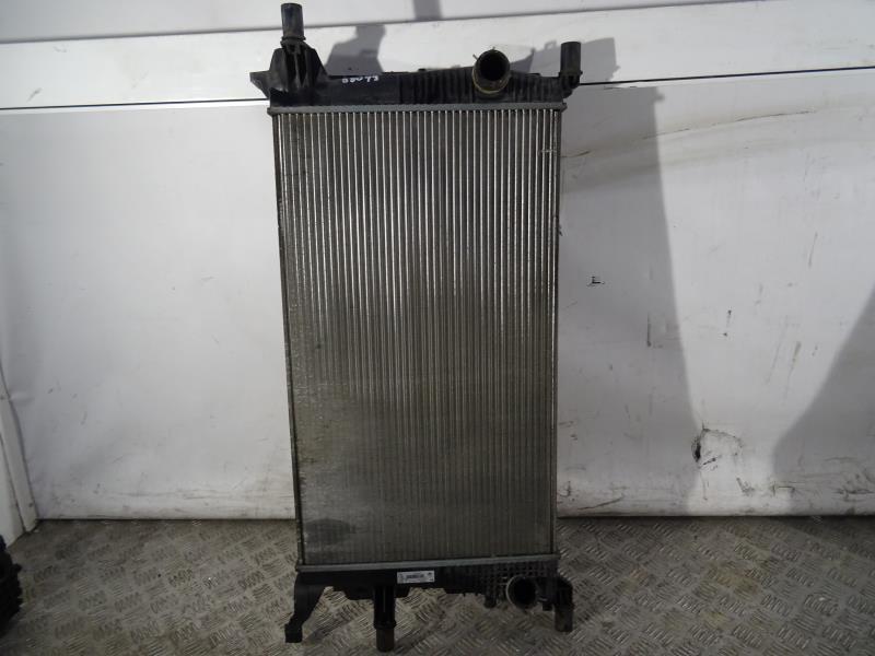 Radiateur eau RENAULT SCENIC 3 PHASE 3 Diesel - 1