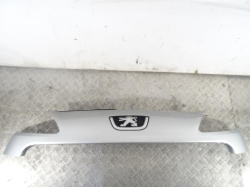 Calandre PEUGEOT 1007 Diesel - 1