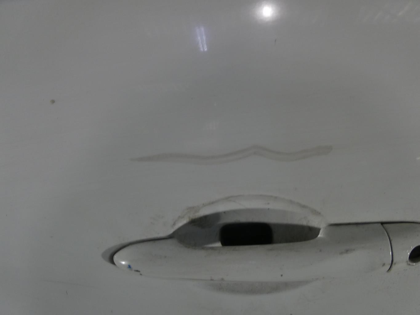 Porte avant gauche RENAULT SCENIC 3 PHASE 1 Diesel - 1