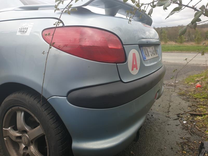 Porte Avant Droite Pour Peugeot 206 CC (bleu) - Pièce D'occasion - Référence 9004P1