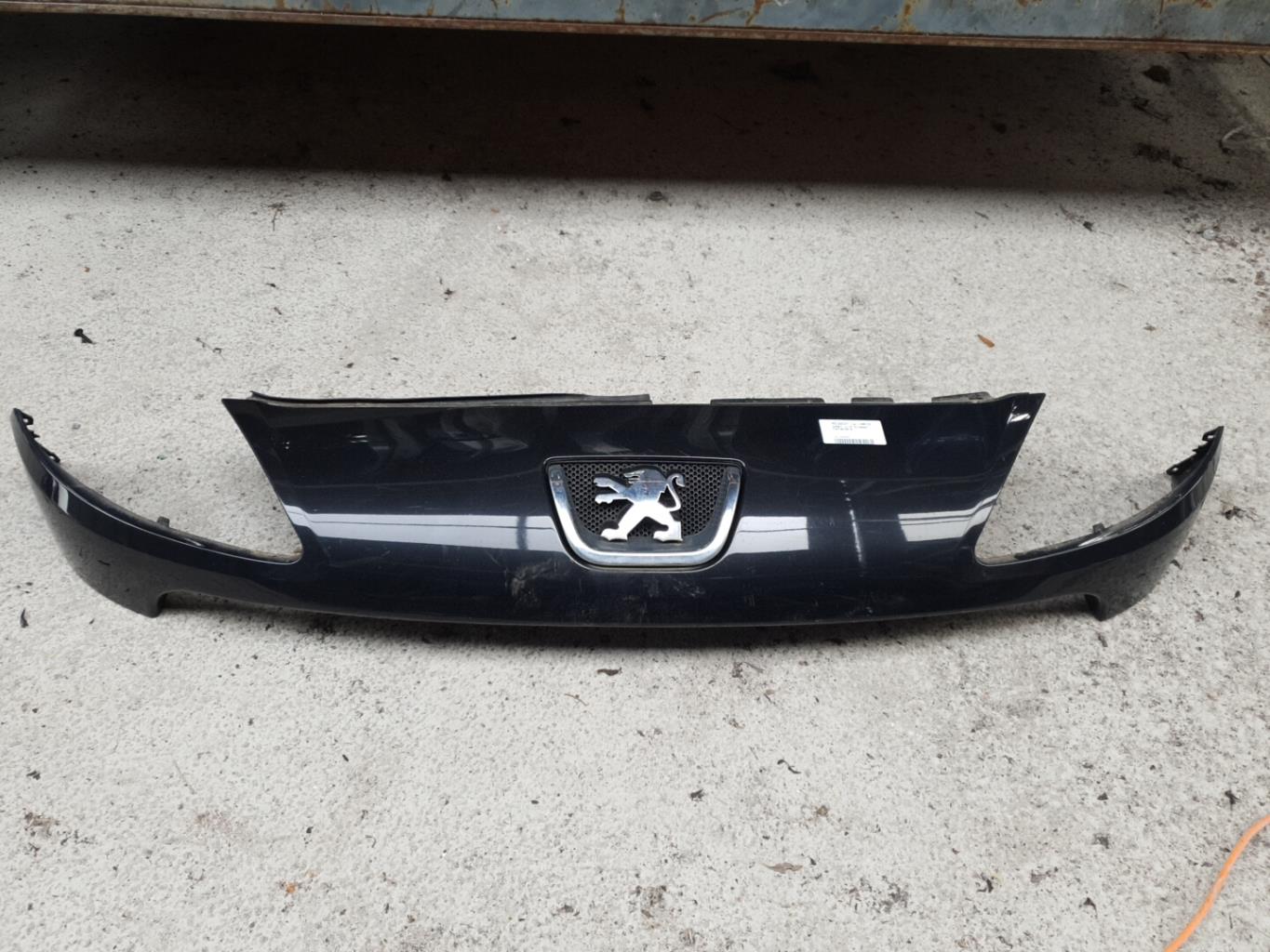 Calandre PEUGEOT 1007 Diesel - 1