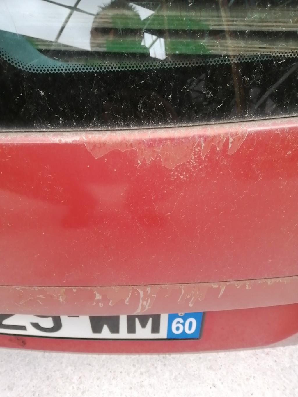 Portabagagli/Portellone posteriore FIAT STILO Diésel - 1