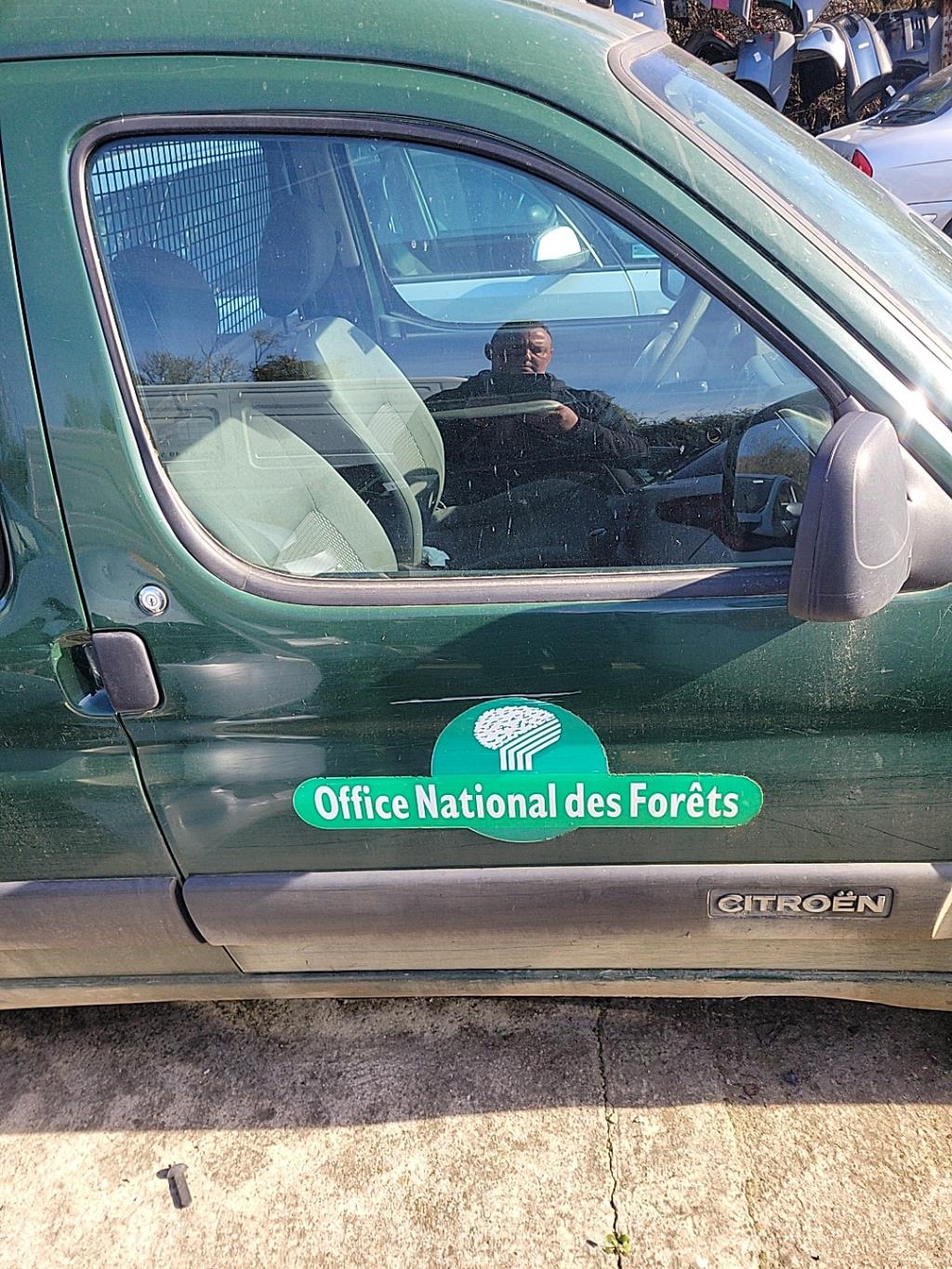 Portiera anteriore destra CITROEN BERLINGO 1 PHASE 2 Diésel - 1