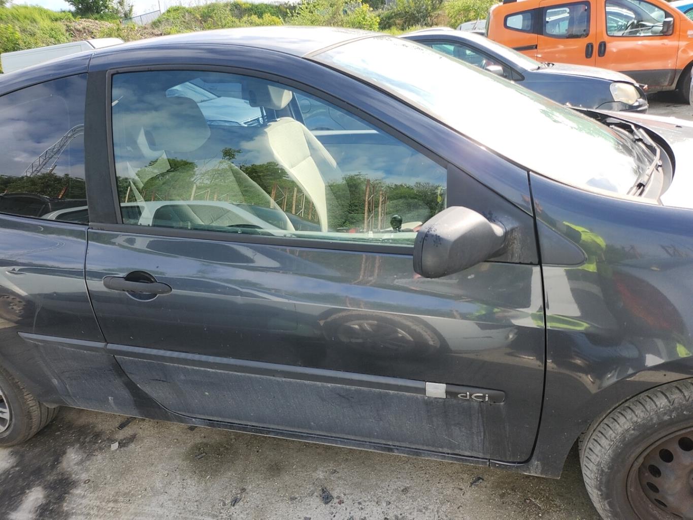 Portiera anteriore destra RENAULT CLIO 3 PHASE 1 Diésel - 1