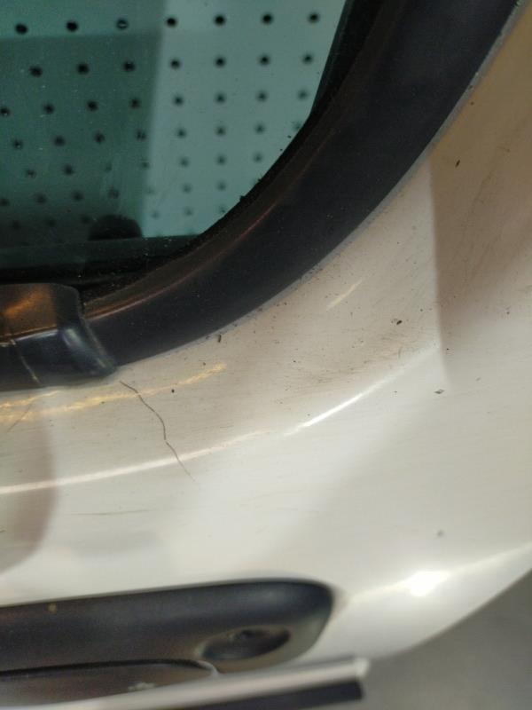 Portiera anteriore sinistra RENAULT KANGOO 1 PHASE 1 Diésel - 1