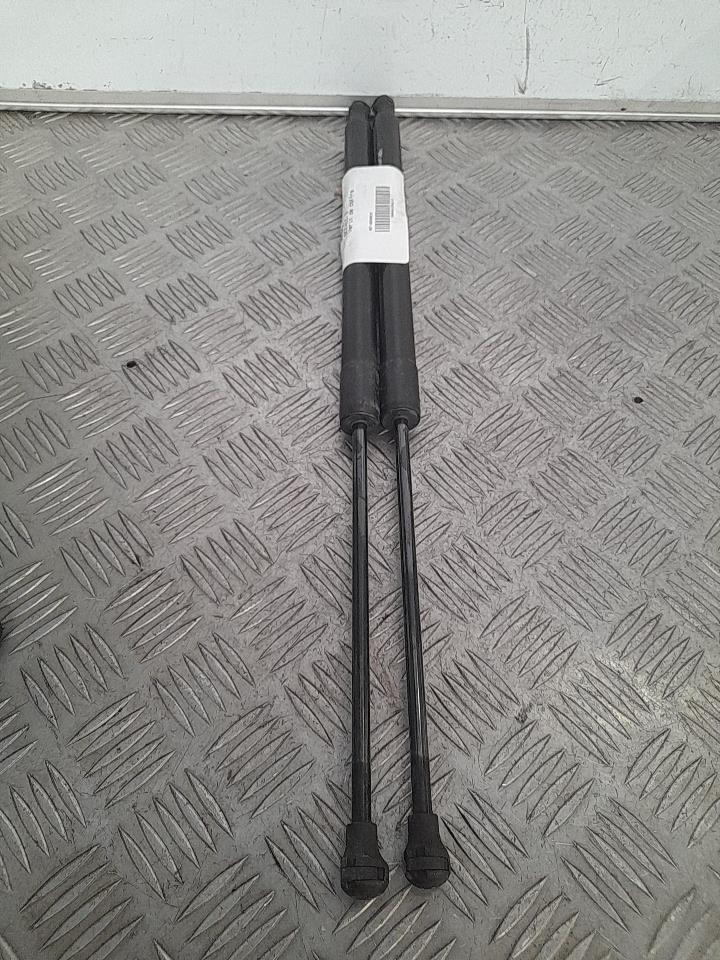 Verin de coffre RENAULT SCENIC 3  - 1