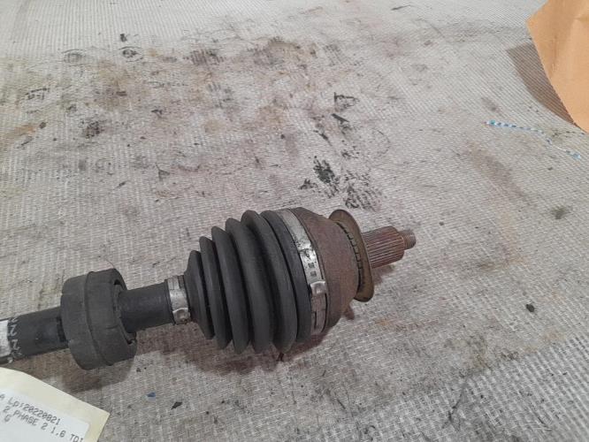 Miniature 3