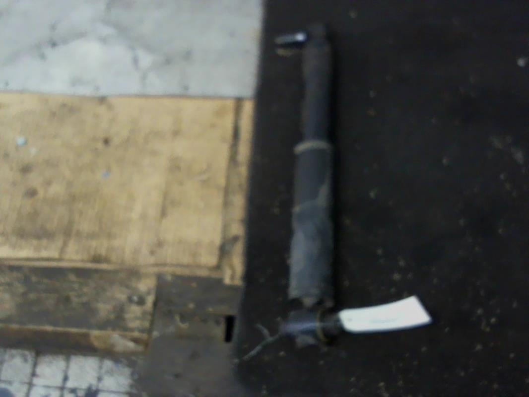 Ammortizzatore posteriore sinistro RENAULT MEGANE 3 PHASE 1 Diésel - 1
