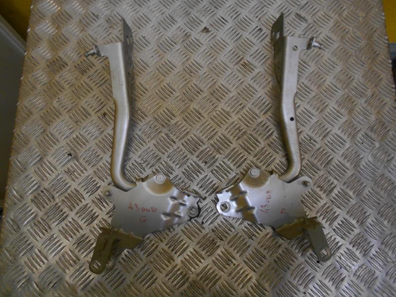 Charniere de capot RENAULT SCENIC 3 PHASE 1 Diesel - 1