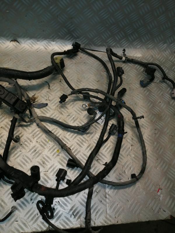 Cablaggio motore FORD RANGER 4 PHASE 1 Diésel - 1
