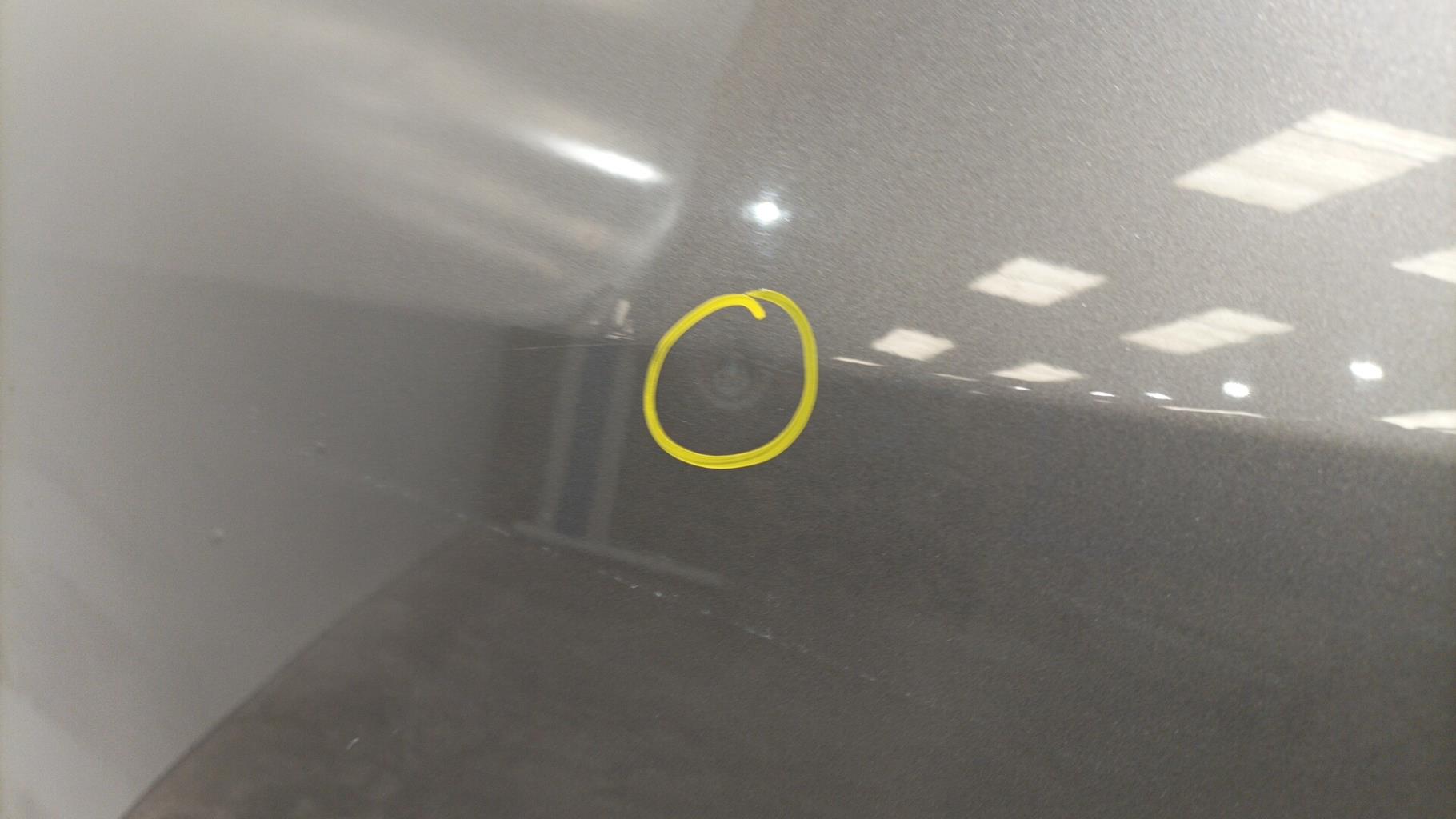 Portiera posteriore sinistra RENAULT GRAND SCENIC 3 PHASE 3 Diésel - 1