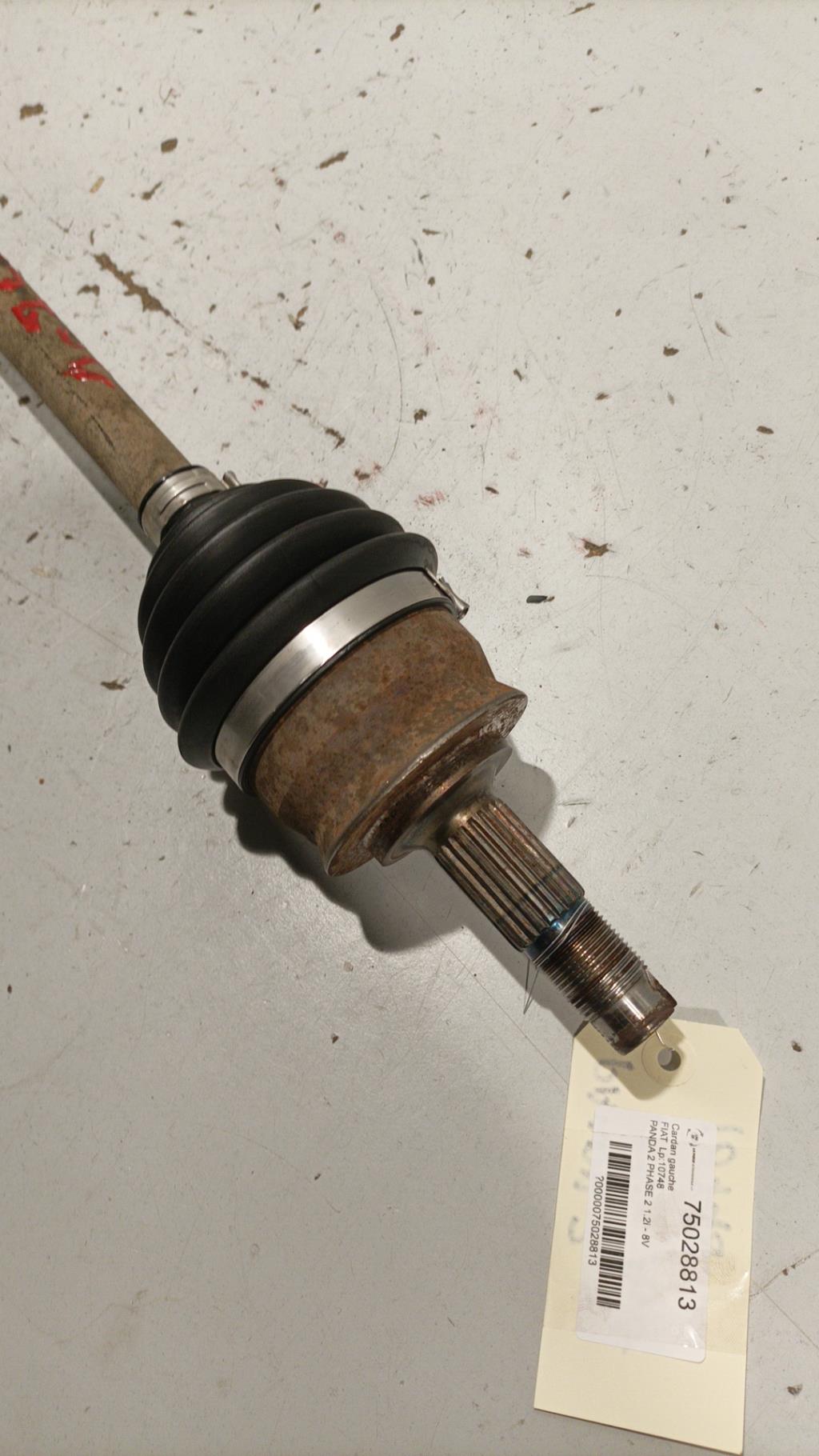 Giunto cardanico albero di trasmissione sinistro FIAT PANDA 2 PHASE 2 Gasolina - 1