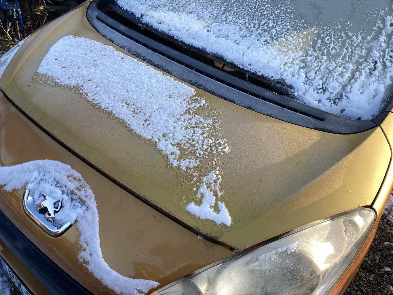 Capot PEUGEOT 1007 Essence - 1