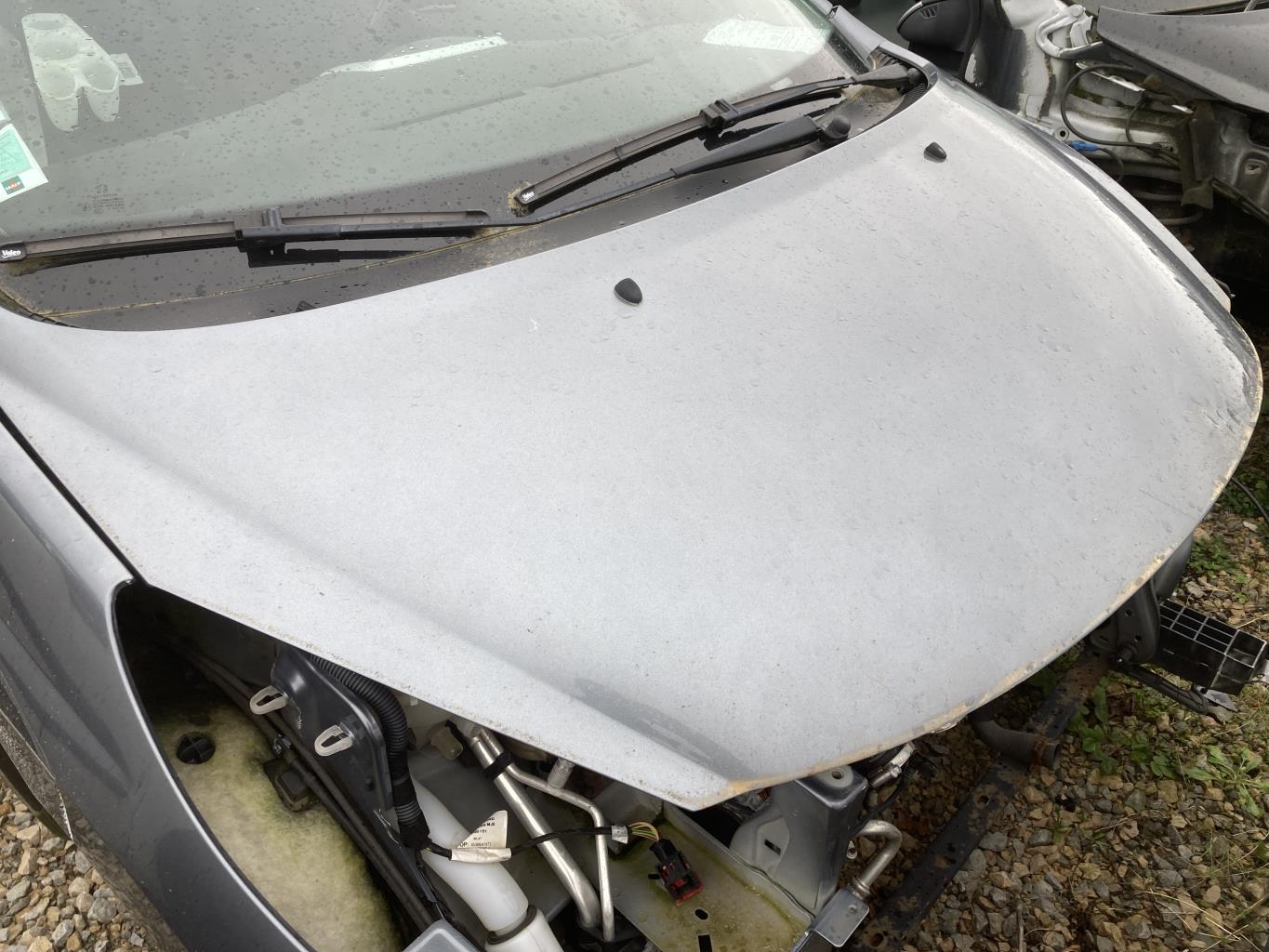 Capot PEUGEOT 207 PHASE 2 Diesel - 1