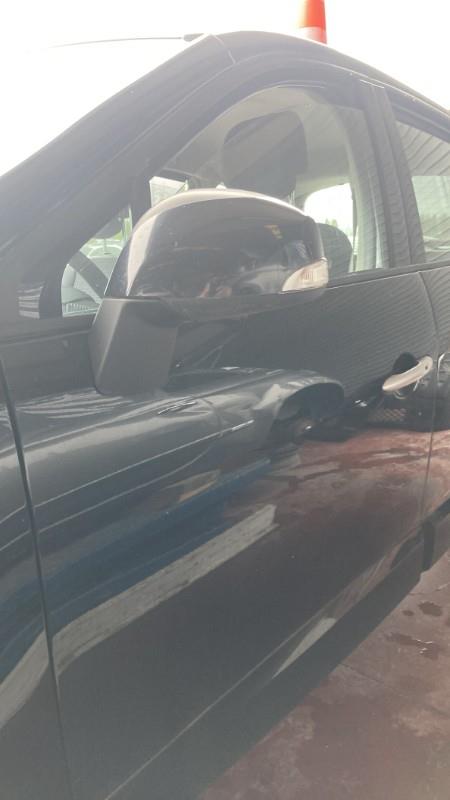 Porte avant gauche RENAULT SCENIC 3 PHASE 1 Diesel - 1