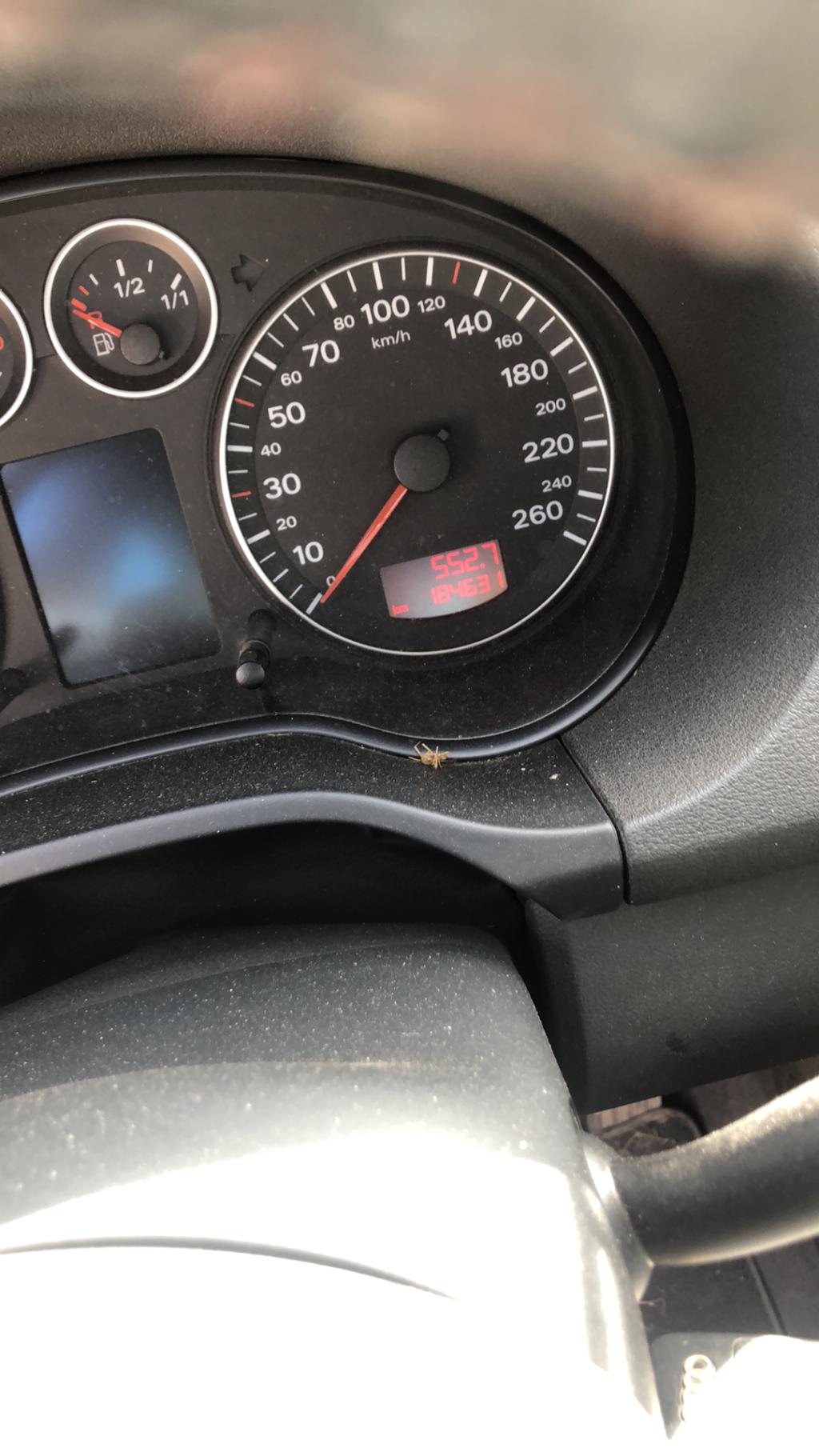 Bouton de warning AUDI A3 2 PHASE 1 Diesel - 1