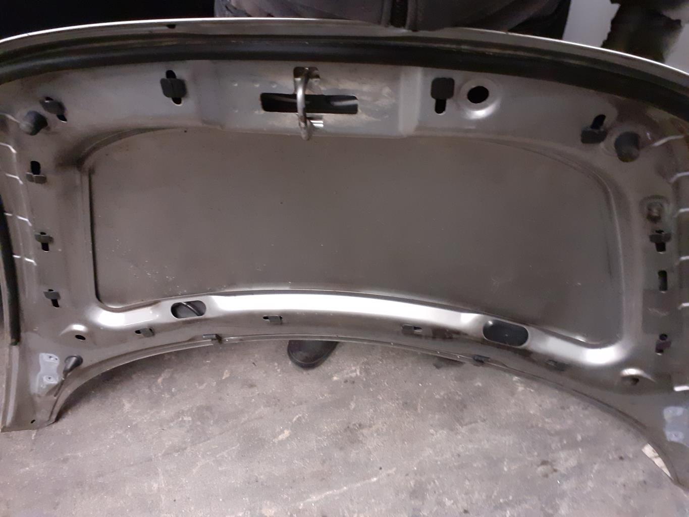 Capot VOLKSWAGEN NEW BEETLE 1 PHASE 1 Diesel - 1