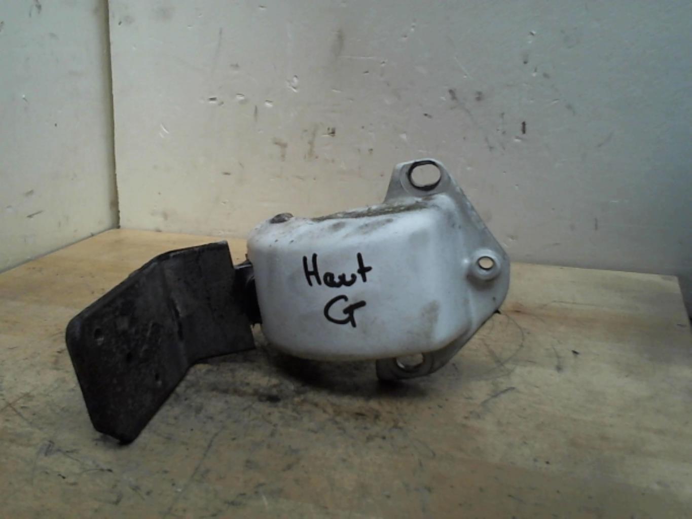 Charniere de porte de coffre gauche RENAULT MASTER 2 PHASE 3 Diesel - 1