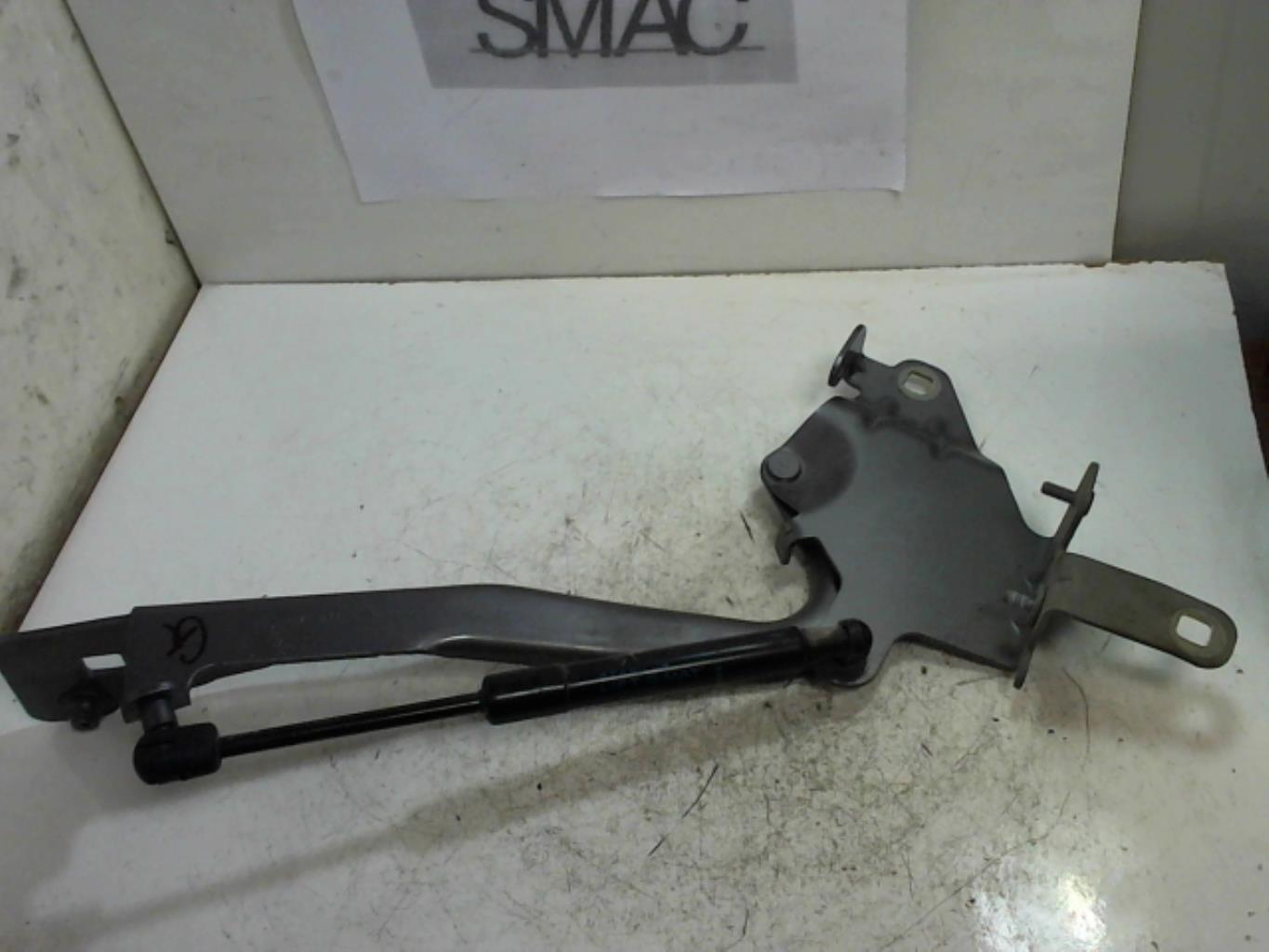 Charniere de capot RENAULT SCENIC 3 PHASE 1 Diesel - 1