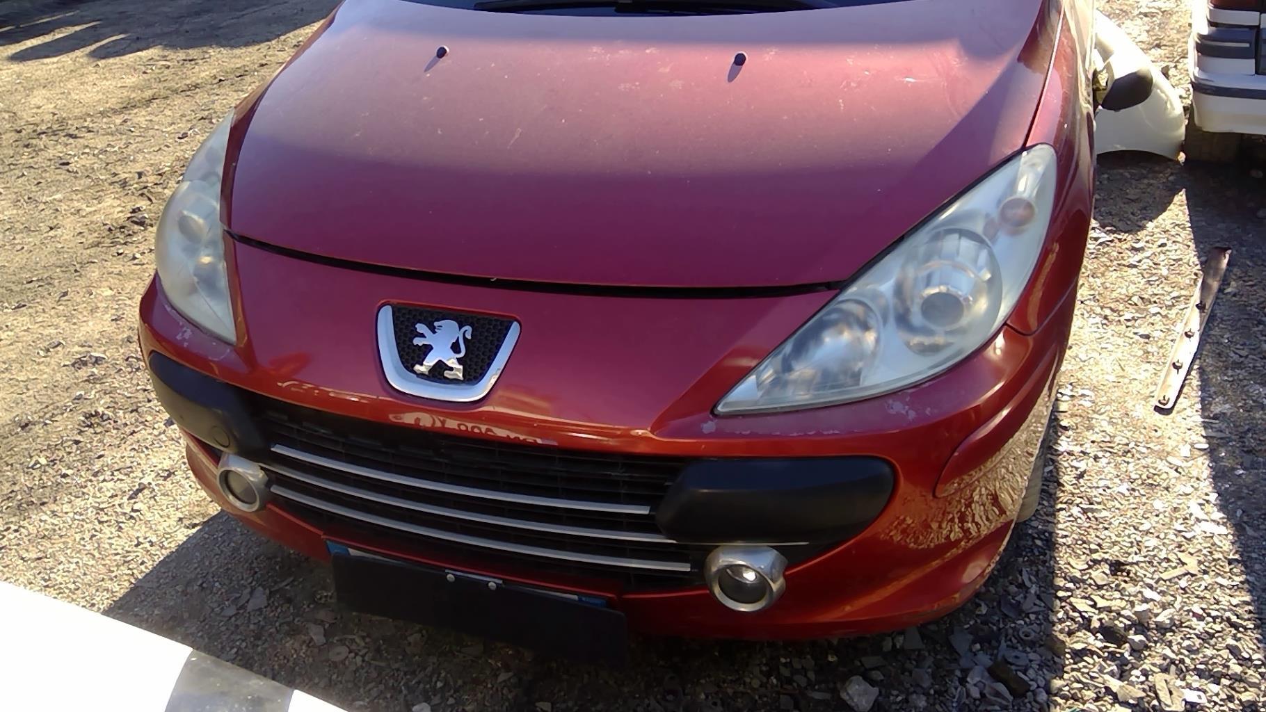 Maniglia interna anteriore destra PEUGEOT 307 PHASE 2 BREAK Diésel - 1