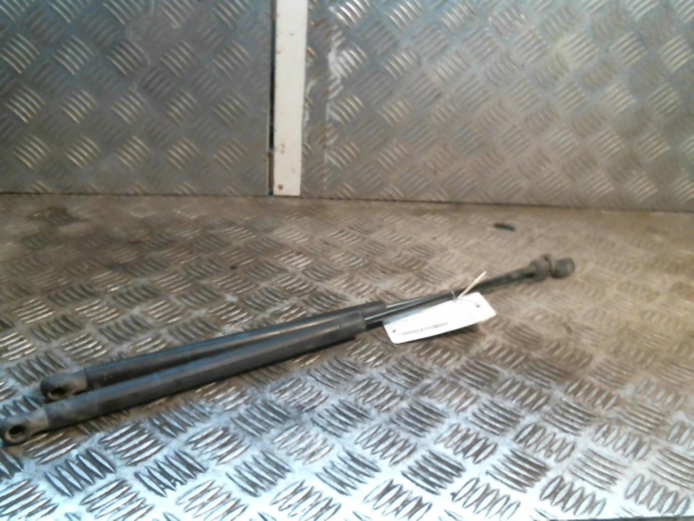 Molla a gas bagagliaio RENAULT SCENIC 2 PHASE 2 Diésel - 1