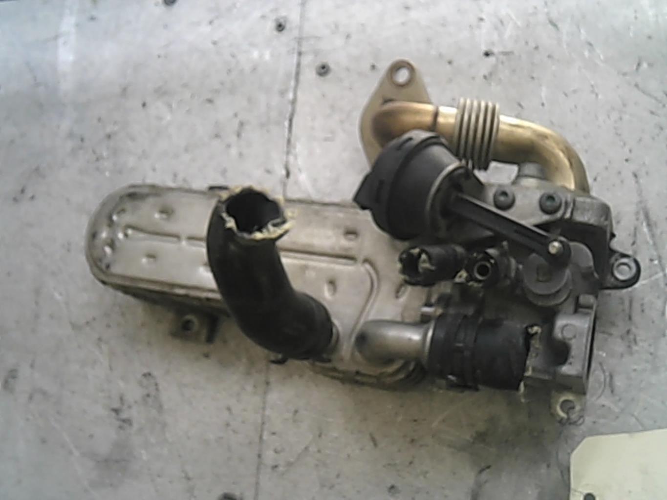 Radiatore EGR VOLKSWAGEN PASSAT 5 BREAK Diésel - 1