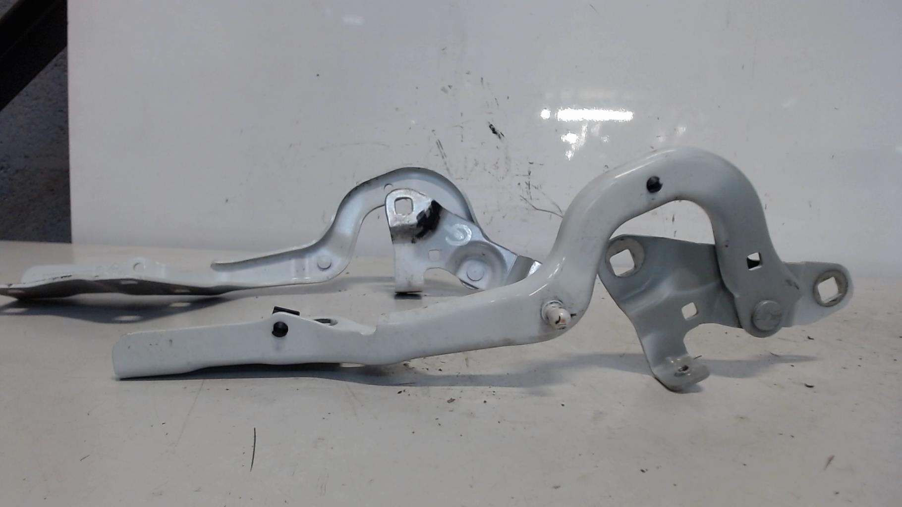 Charniere de capot RENAULT SCENIC 4 Diesel/Hybride - 1
