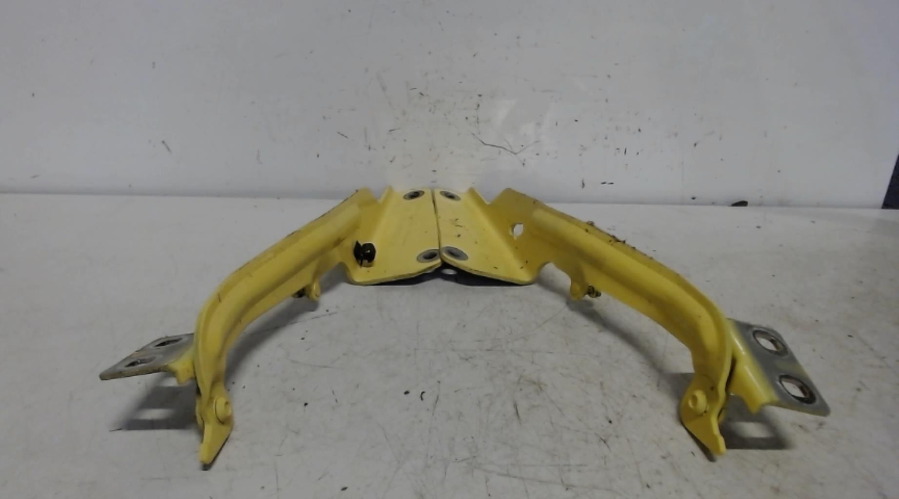 Charniere de capot RENAULT KANGOO 2 PHASE 2 Essence - 1