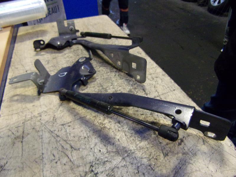 Charniere de capot RENAULT GRAND SCENIC 3 PHASE 1 Diesel - 1