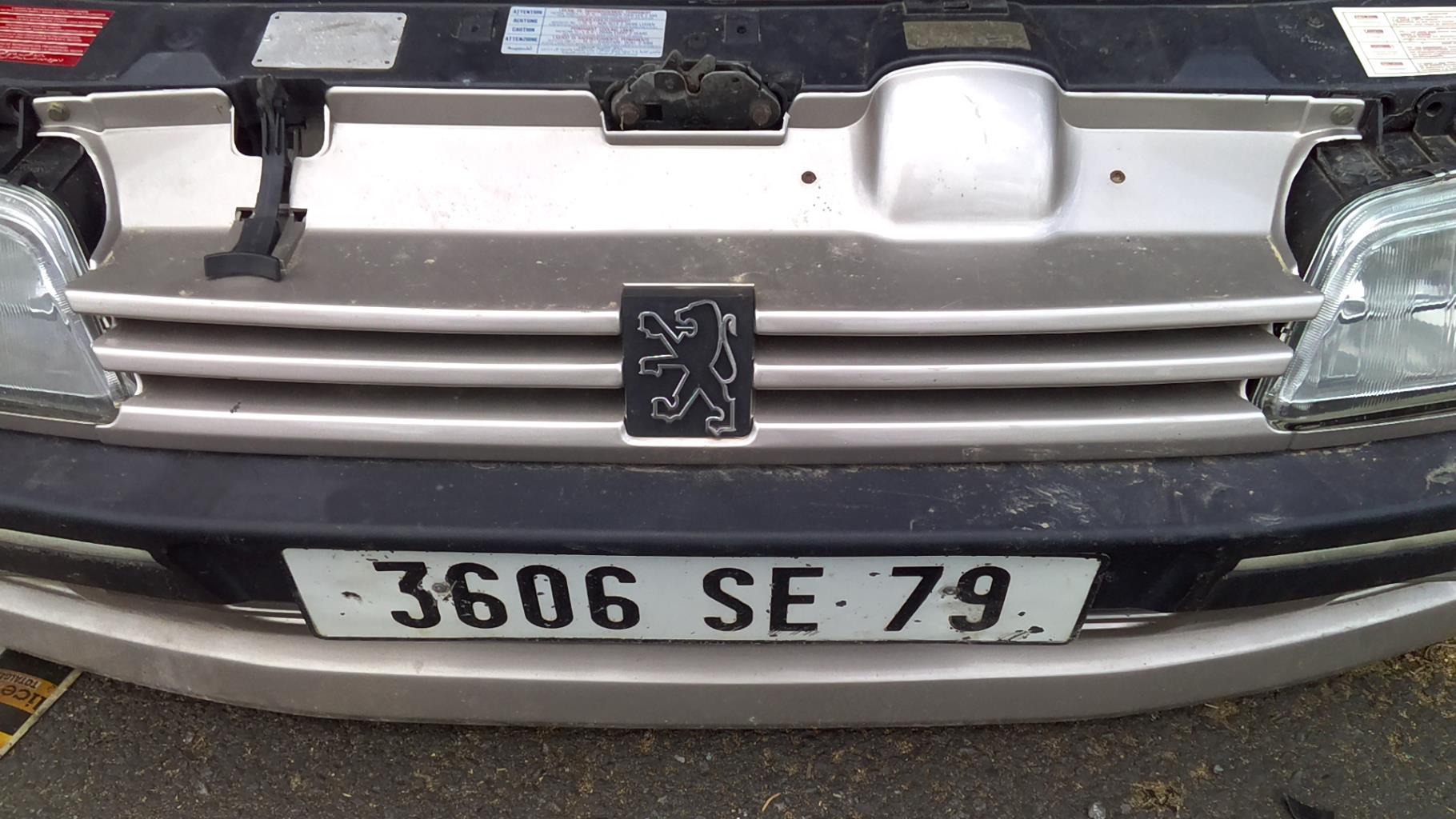 Calandre PEUGEOT 405  - 1