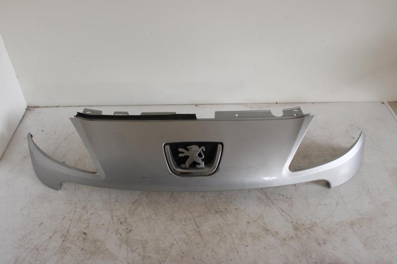 Calandre PEUGEOT 1007 Diesel - 1