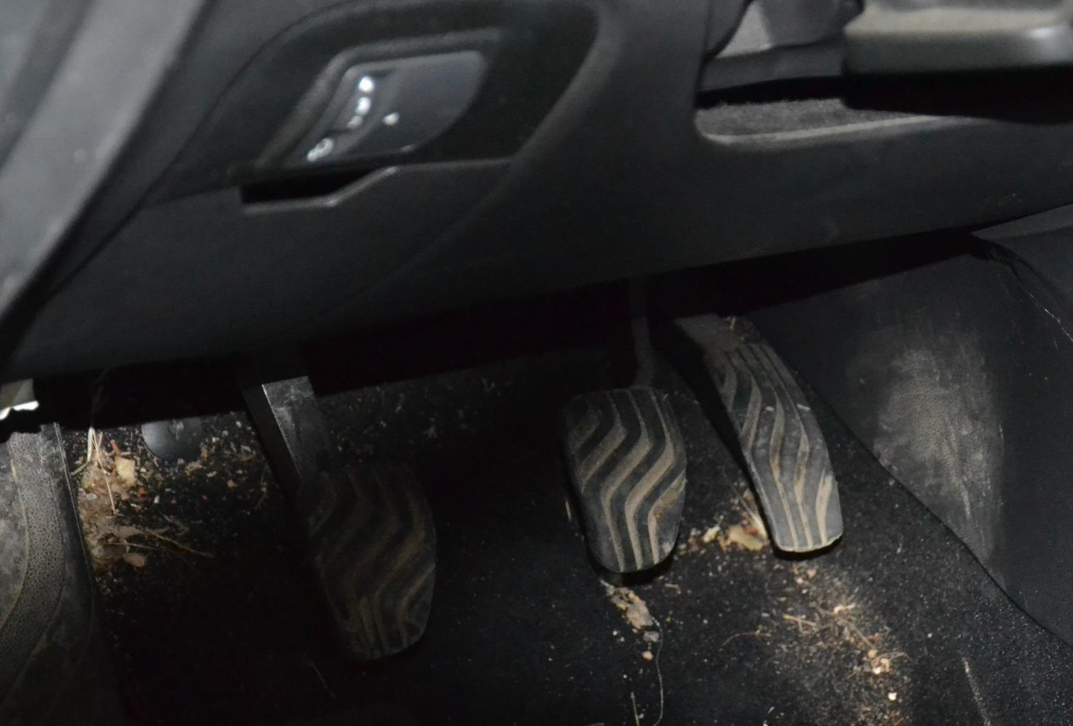 Potenziometro pedale acceleratore RENAULT SCENIC 4  - 1