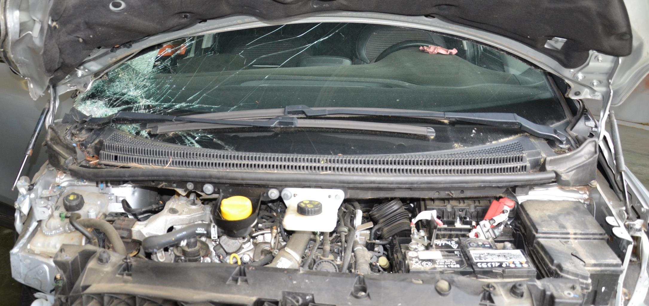 Motore tergicristallo anteriore sinistro RENAULT SCENIC 4  - 1