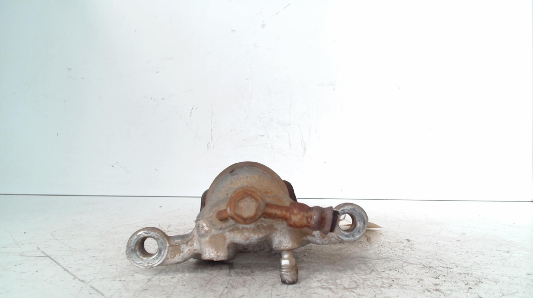 Pinza freni posteriore destra NISSAN QASHQAI 1 PHASE 2 Diésel - 1