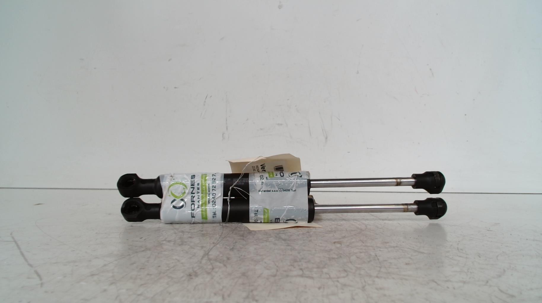 Molla a gas cofano RENAULT ZOE 1 Electricidad - 1