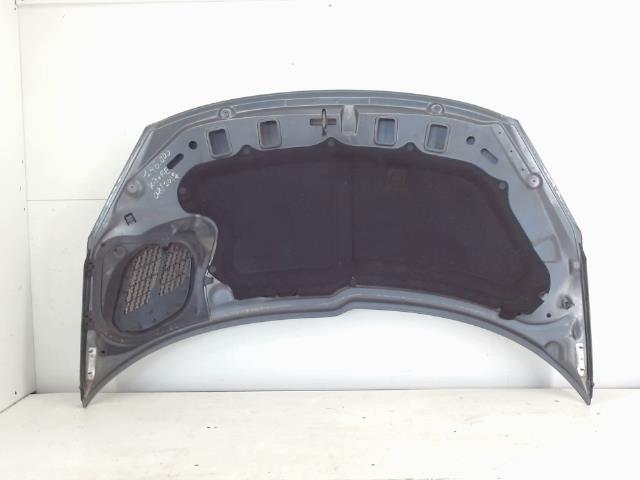 Capot PEUGEOT 206+ Diesel - 1