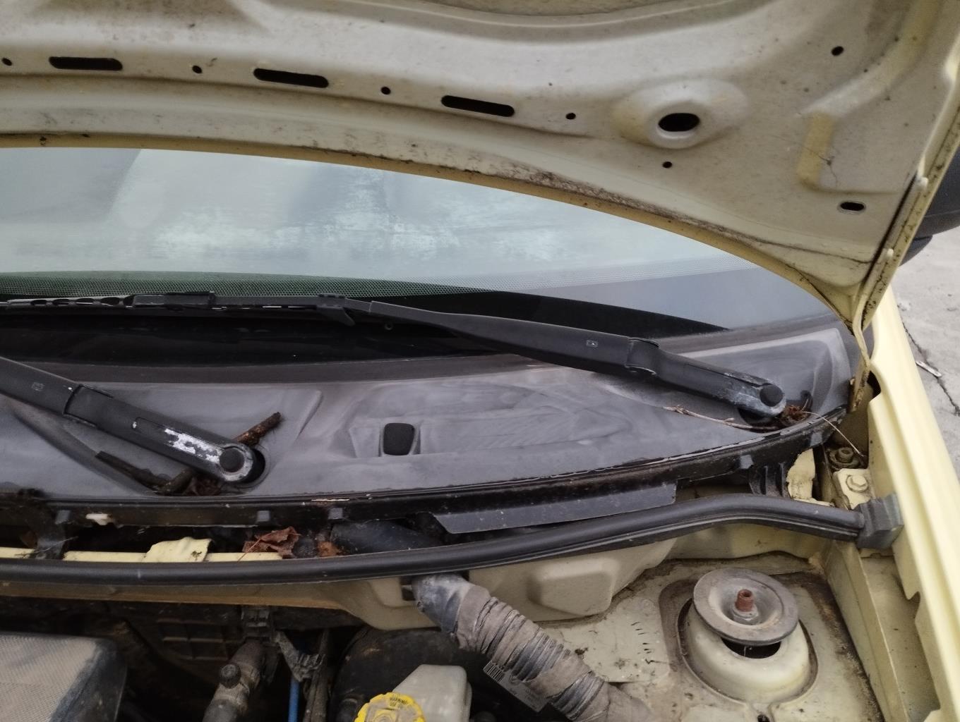 Braccio tergicristallo anteriore sinistro FIAT PANDA 2 PHASE 1 Gasolina - 1