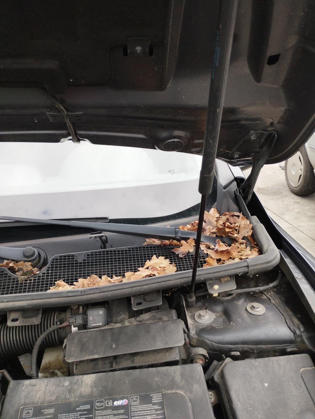 Braccio tergicristallo anteriore sinistro RENAULT MEGANE 3 PHASE 1 Diésel - 1