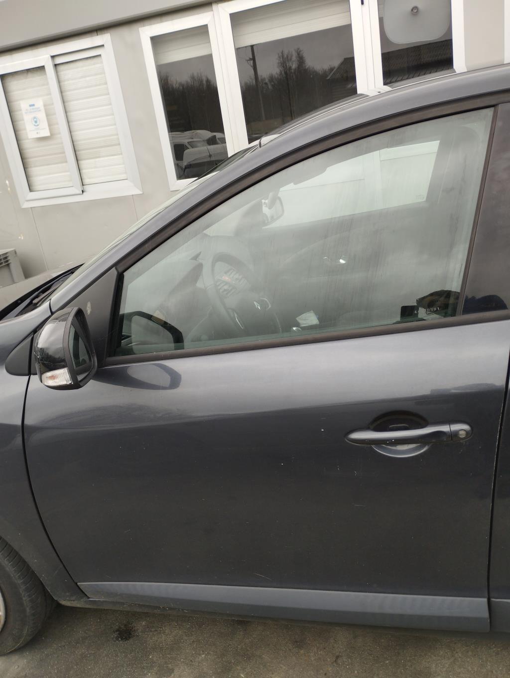 Maniglia portiera anteriore sinistra RENAULT MEGANE 3 PHASE 1 Diésel - 1