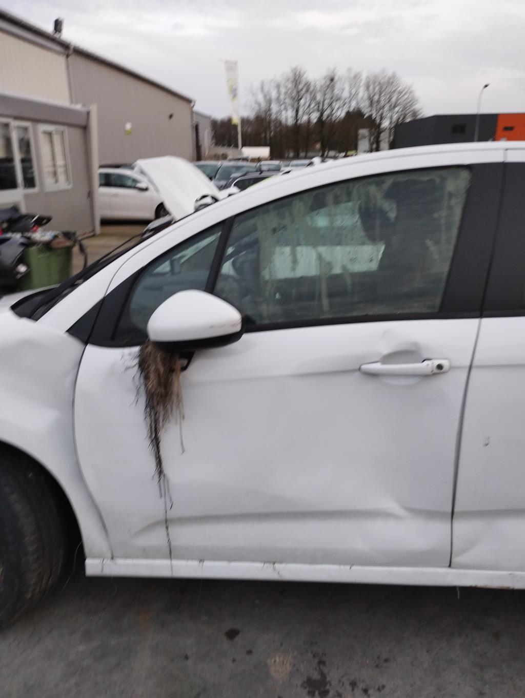Vitre avant gauche CITROEN C3 2 PHASE 2 Diesel - 1