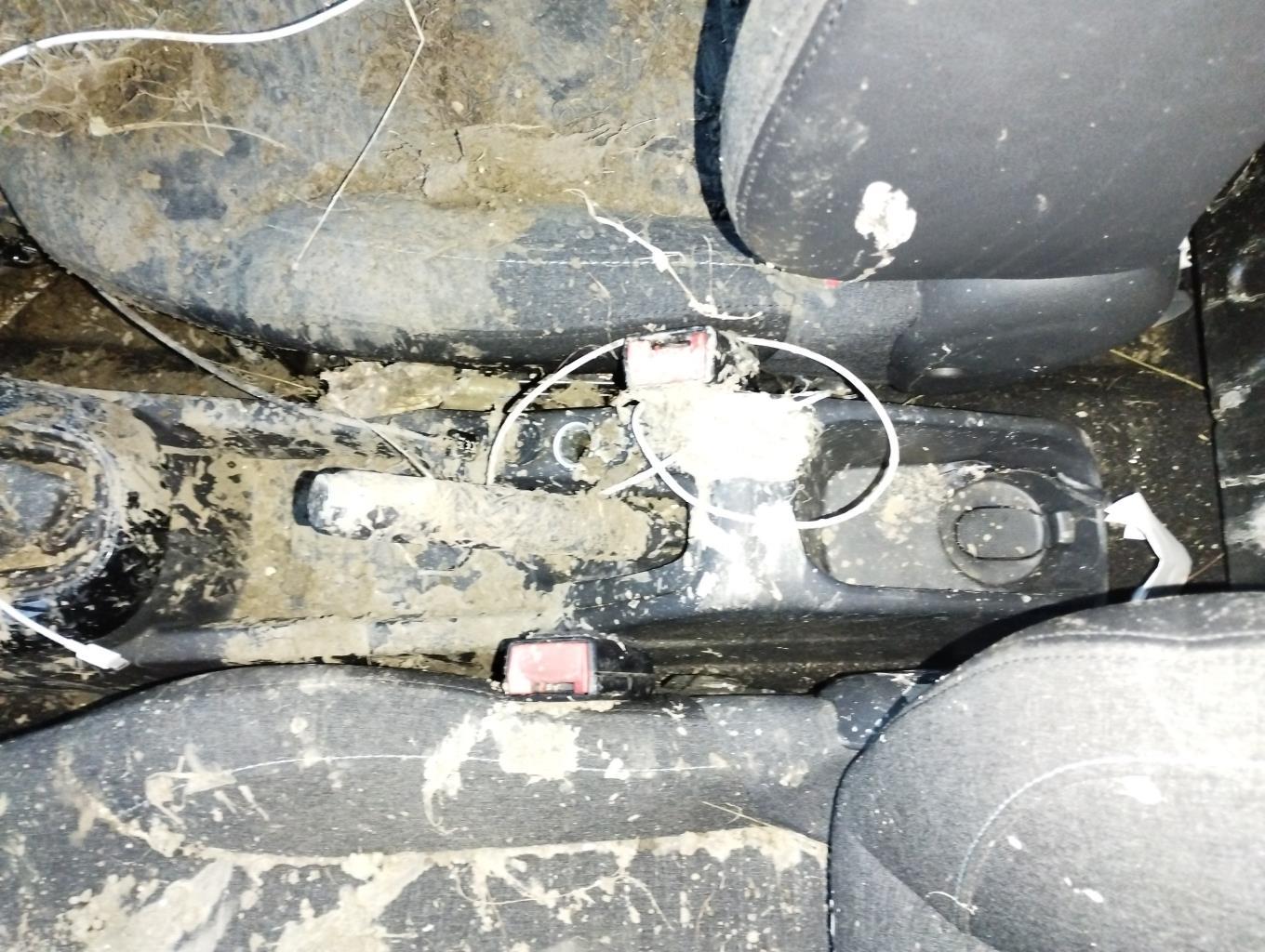 Aggancio cintura sicurezza anteriore destro CITROEN C3 2 PHASE 2 Diésel - 1
