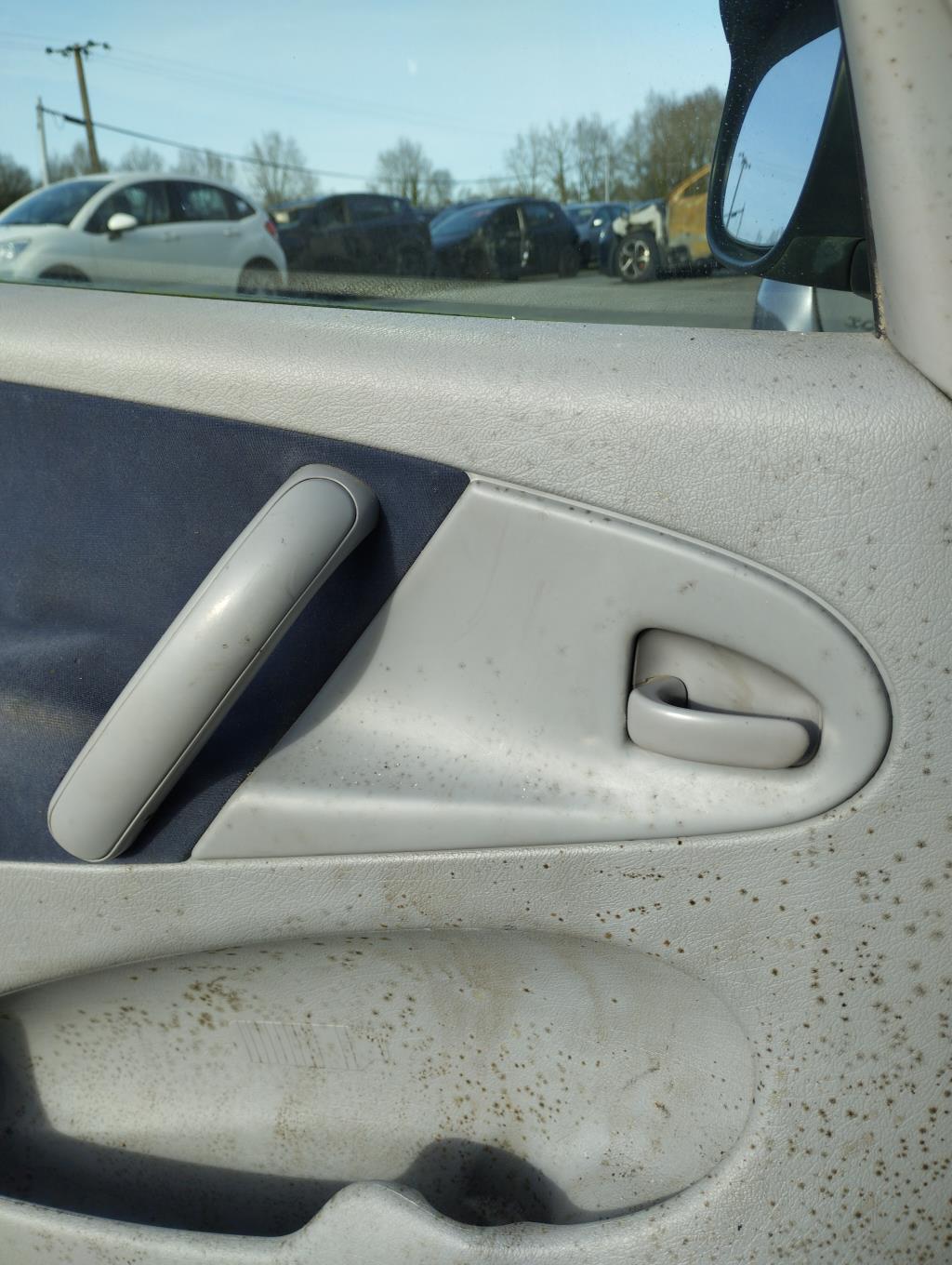 Maniglia interna anteriore sinistra CITROEN XSARA PICASSO PHASE 1 Diésel - 1