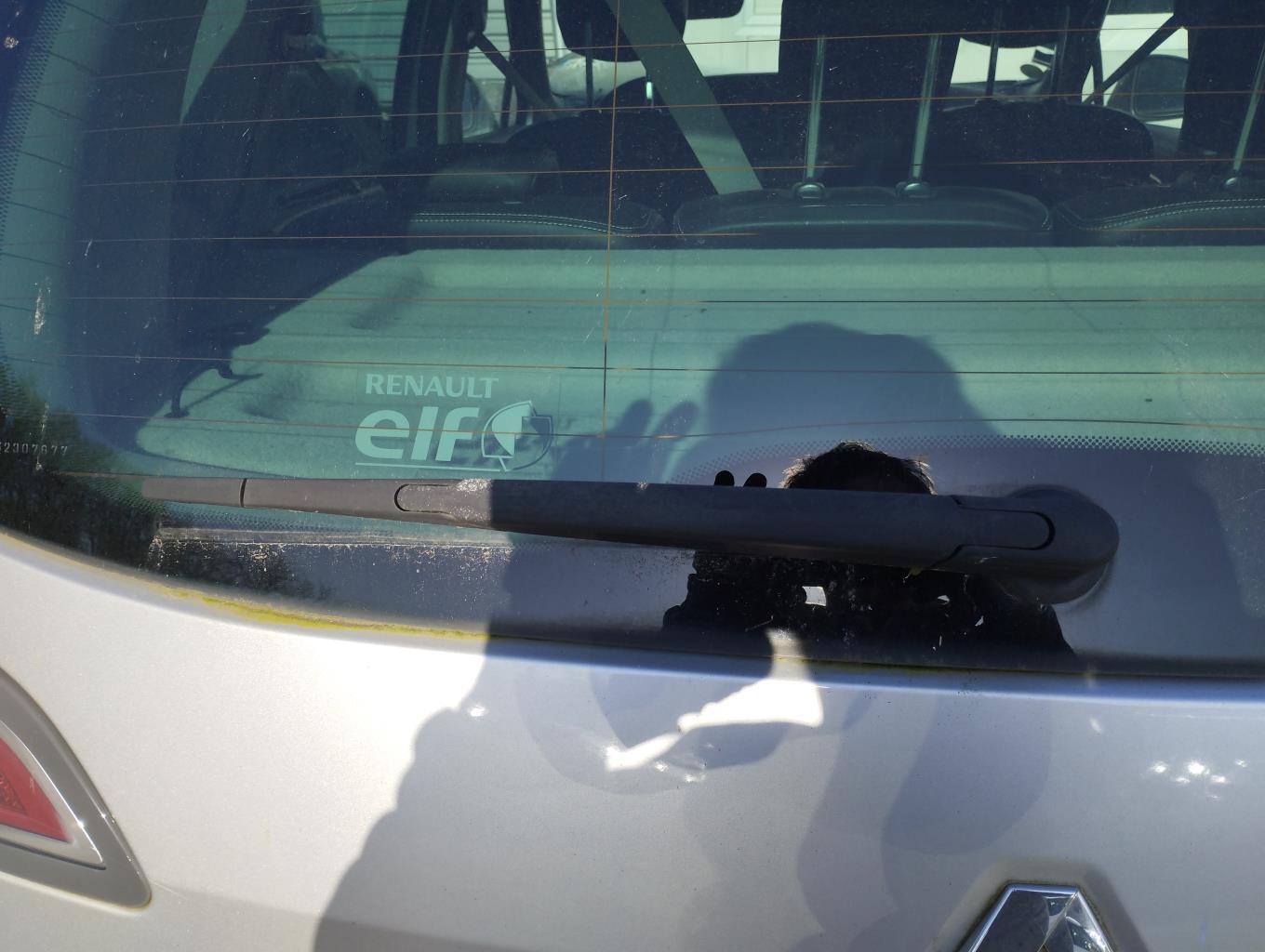 Motore tergicristallo posteriore RENAULT SCENIC 3 PHASE 3 Diésel - 1