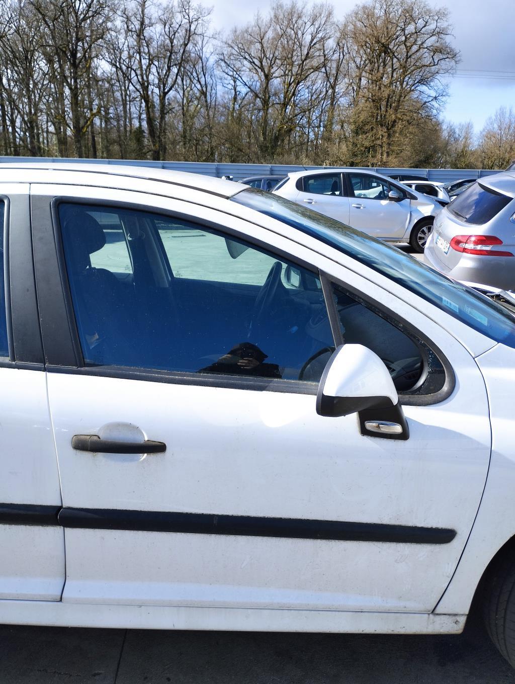 Portiera anteriore destra PEUGEOT 207 PHASE 1 Diésel - 1