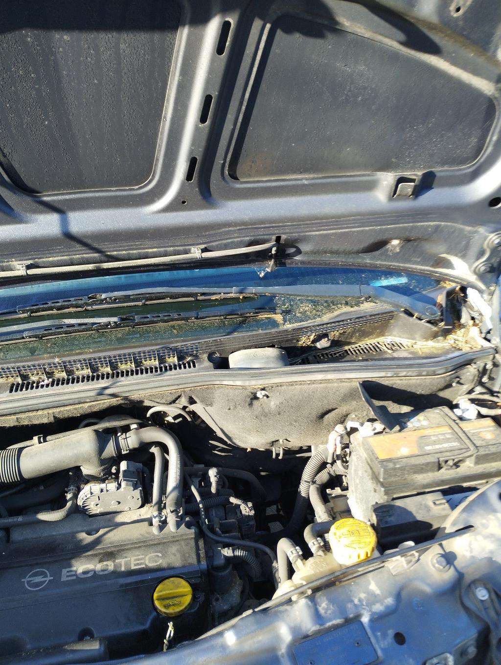 Braccio tergicristallo anteriore sinistro OPEL MERIVA A PHASE 2 Gasolina - 1