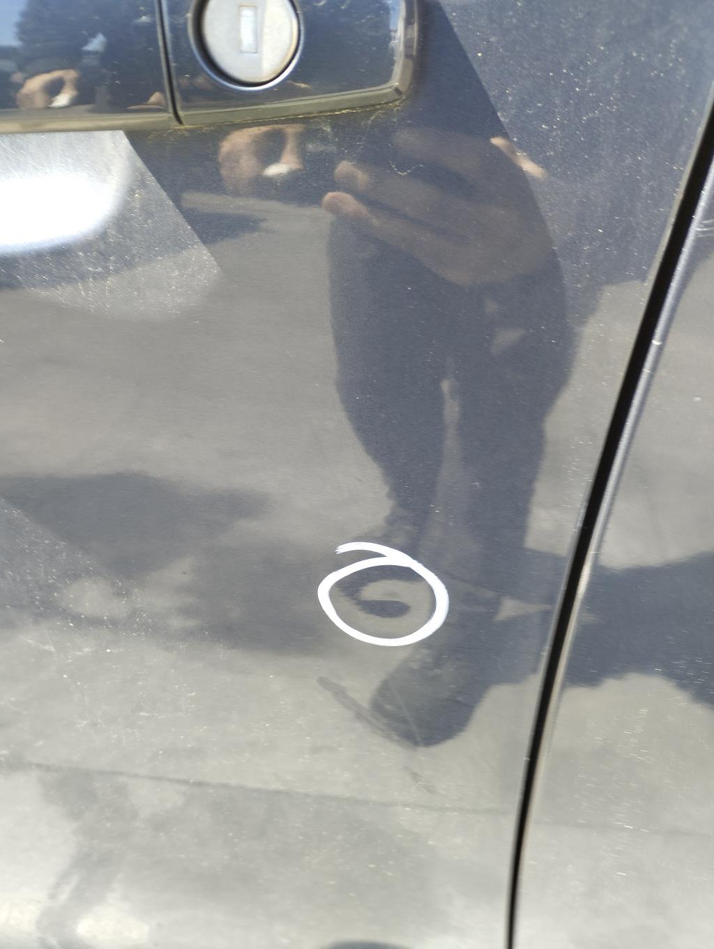 Portiera anteriore sinistra OPEL INSIGNIA 1 PHASE 1 Diésel - 1