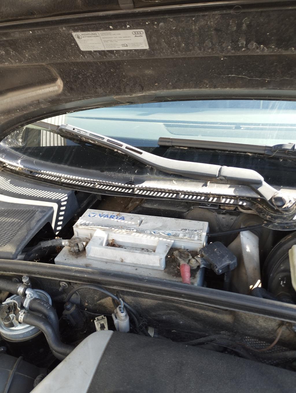 Braccio tergicristallo anteriore destro AUDI A4 2 PHASE 1 Diésel - 1