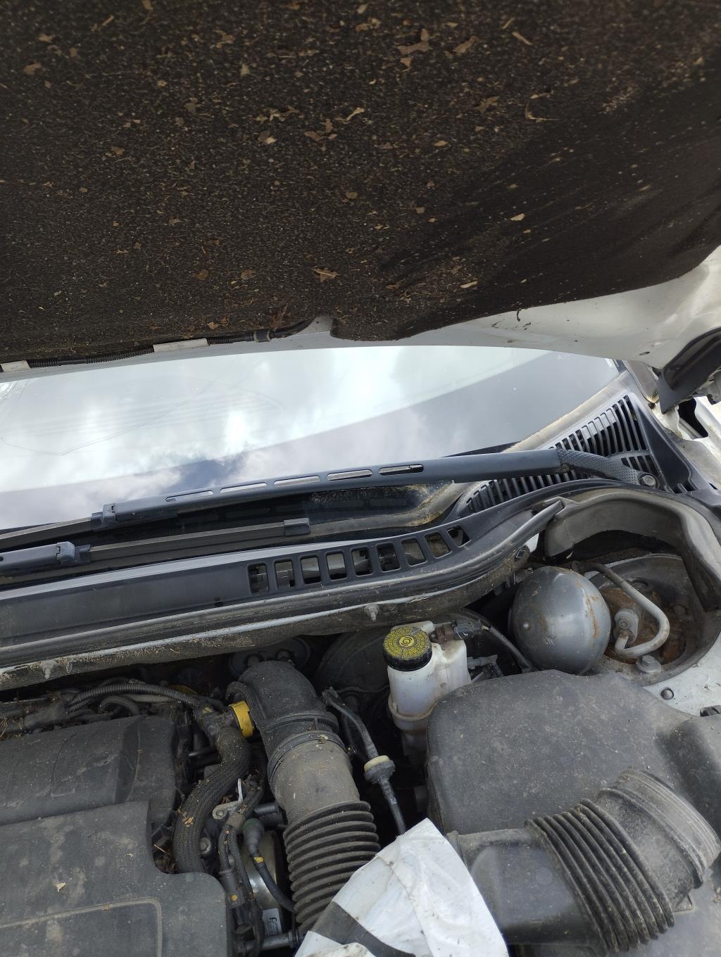 Braccio tergicristallo anteriore sinistro CITROEN C5 2 Diésel - 1