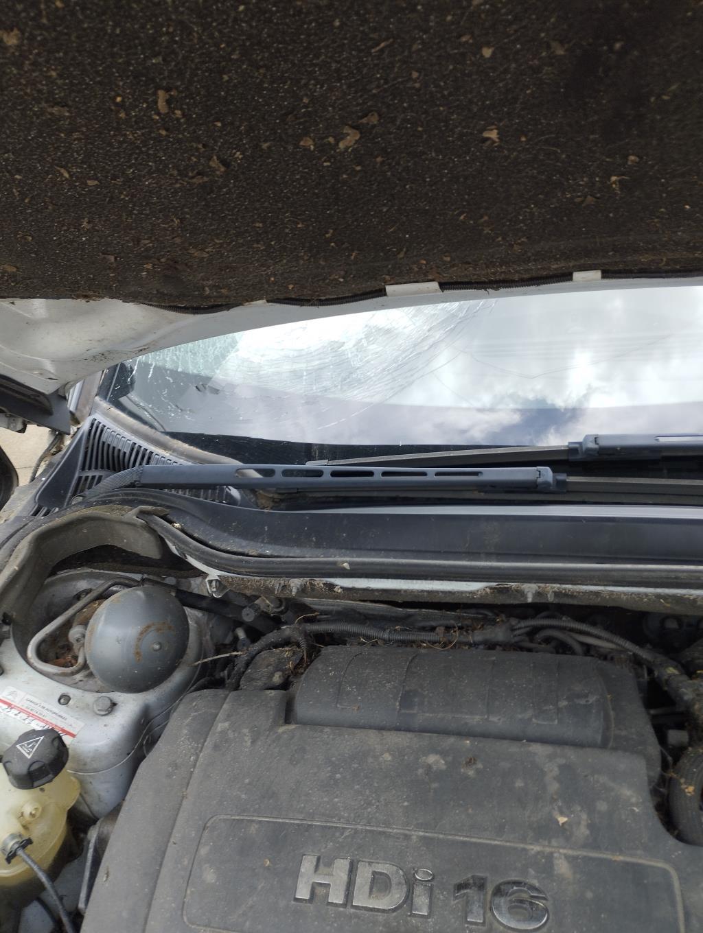 Braccio tergicristallo anteriore destro CITROEN C5 2 Diésel - 1